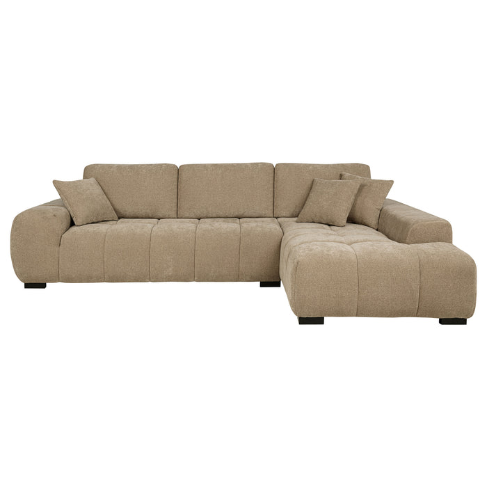 Octavia Stationary Sectionals