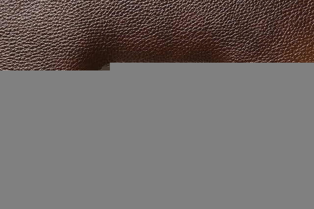 Soterios Power Recliner